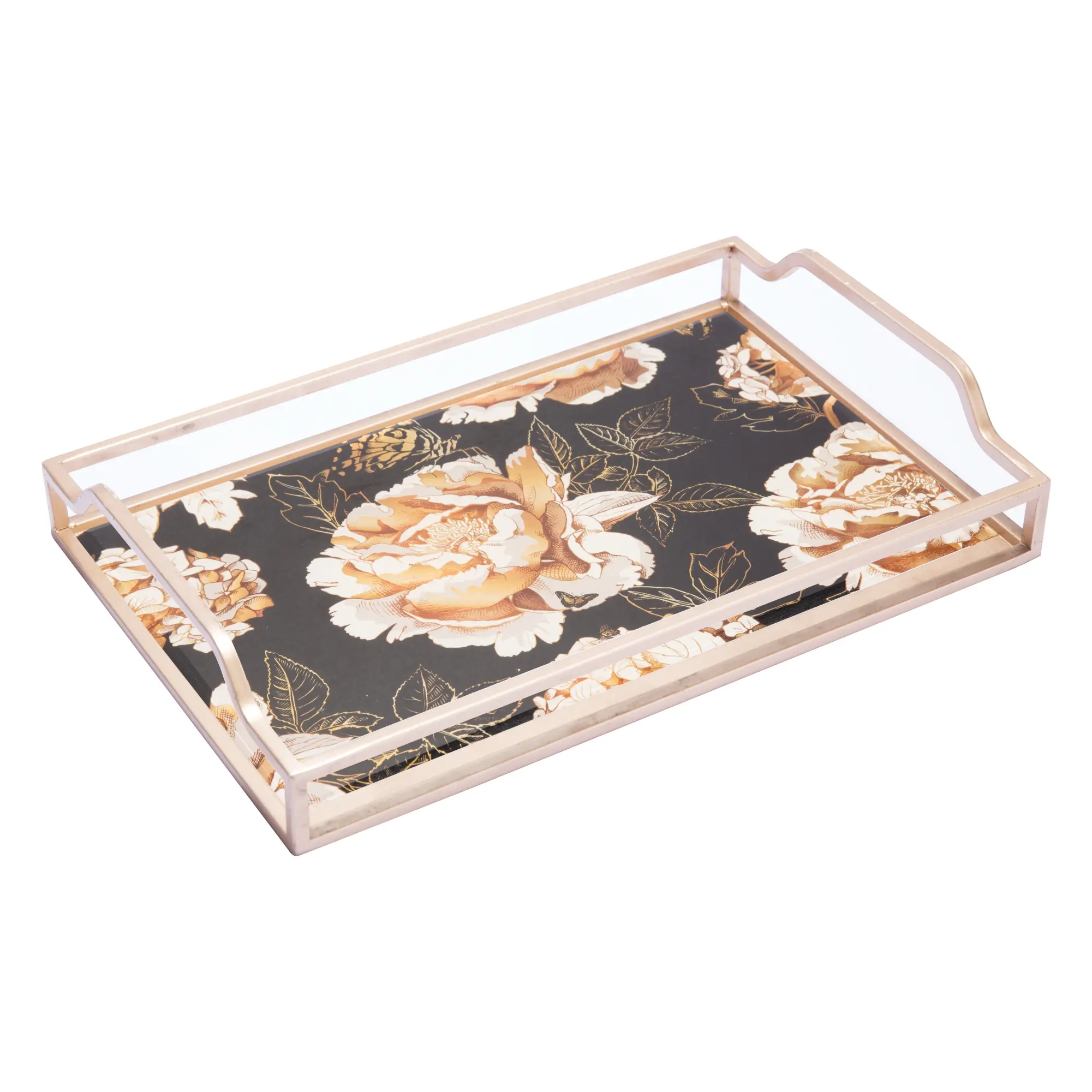 Metal Frame Deco Glass Tray (3)